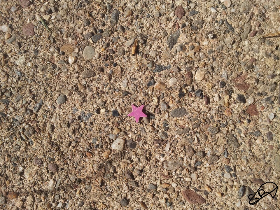 Sidewalk Star