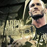 Randy Orton Tag