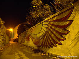 winged at night