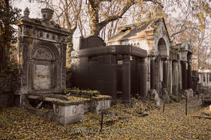 Old Jewish Cemetery V. by rembo78