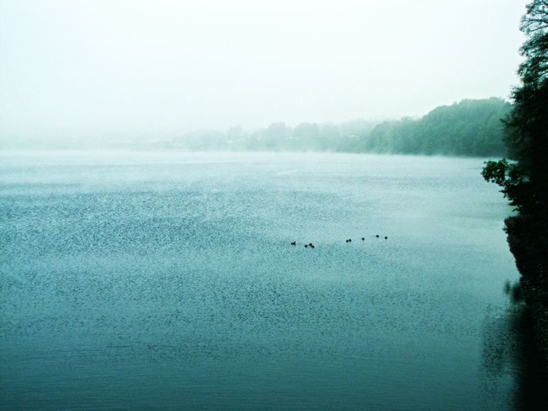 The Fog over the Lake