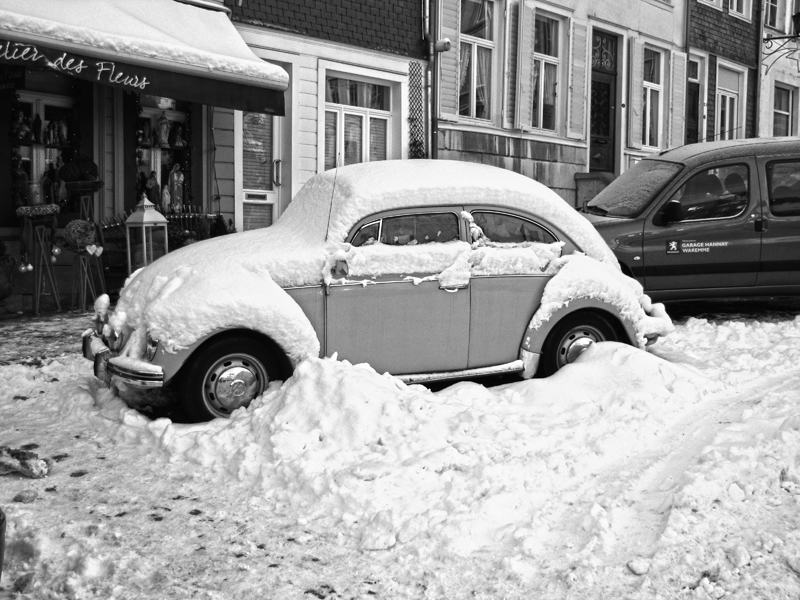 Bug under Snow