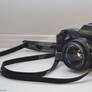 Vintage Camera (1)