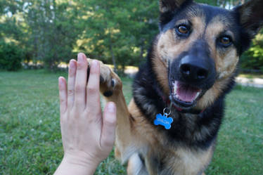 High-Five!