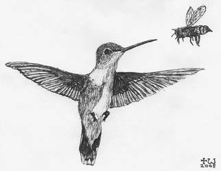 Hummingbird and Bee (tiny art)