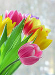 .: Colorful Spring :. by VictorianPrincess