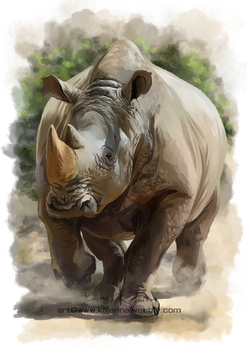 Rhino