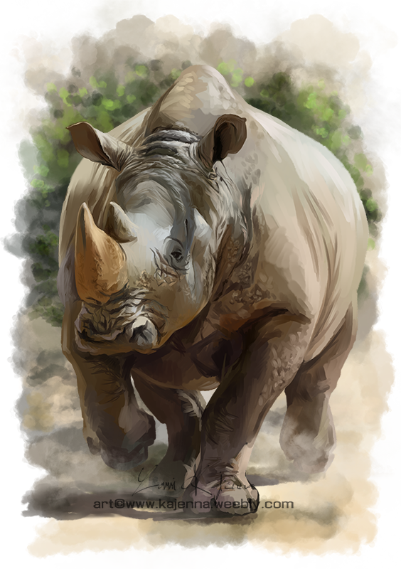 Rhino by Kajenna on DeviantArt