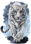 White Tiger by Kajenna