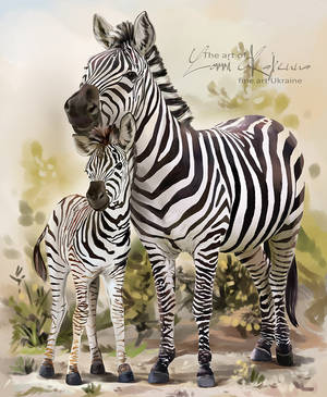 Two zebras by Kajenna