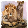 My family and I (Lion pride)