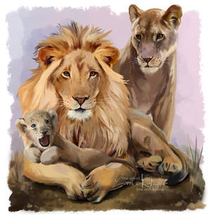 My family and I (Lion pride)