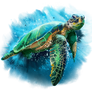 Green sea turtle