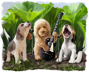 The Dog Band