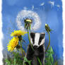 Baby badger and dandelions