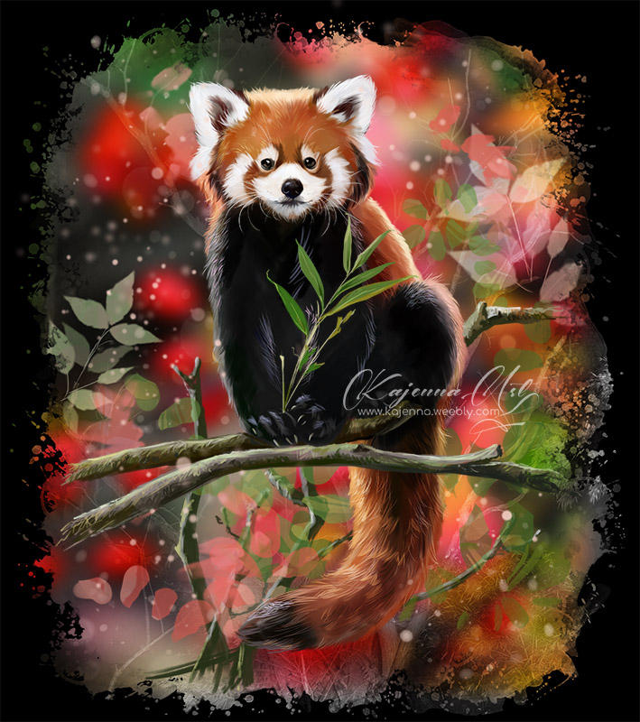 Red panda by Kajenna on DeviantArt