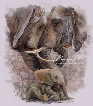 The Elephant Family