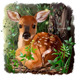 the Fawn