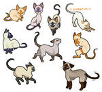 Cats 101 Siamese by Fruichie