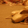 a ballet shoe