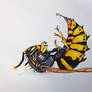 Vespula vulgaris/Mecha1