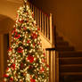 Christmas Tree 2004 2