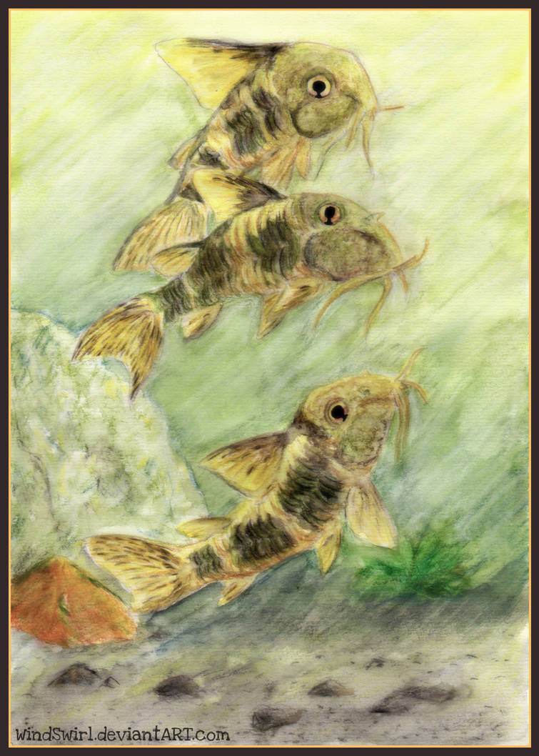 Shoal by WindSwirl