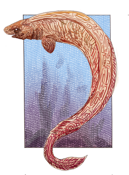 Frilled Shark