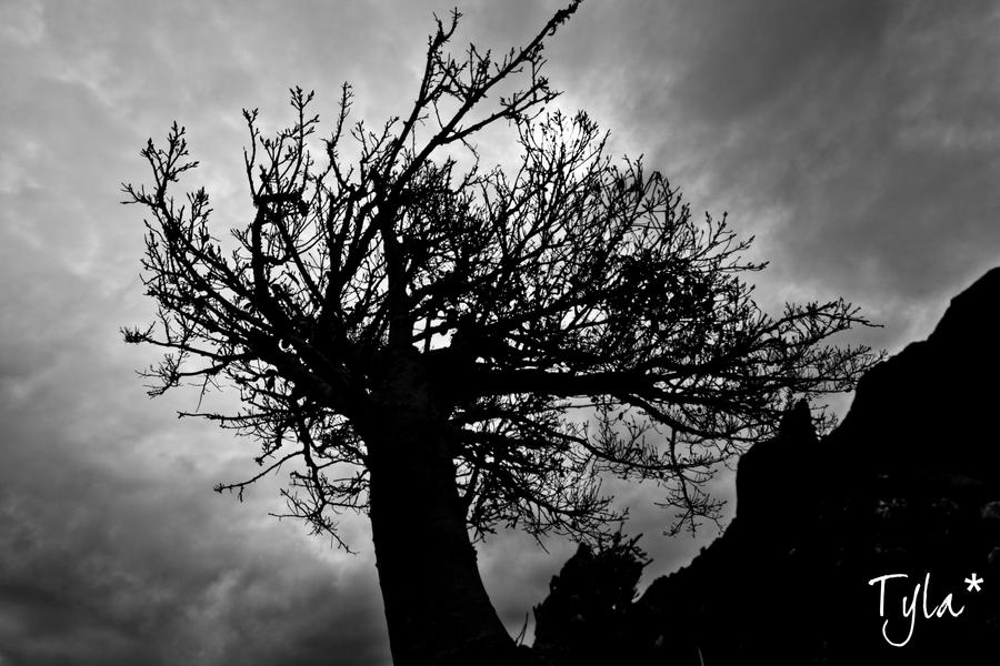 dramatic tree by fabrilla on DeviantArt