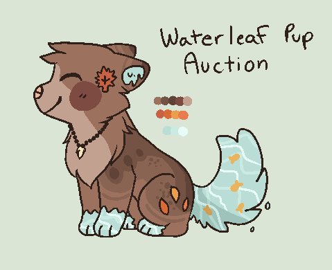 Waterleaf Pup Auction // CLOSED