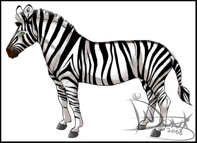 Zebra 1