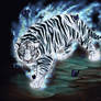 magic tiger