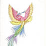 Rainbow Phoenix