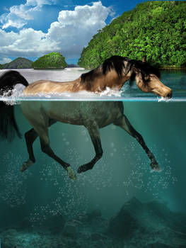 underwater buckskin