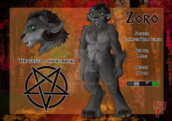 Zoro character ref sheet