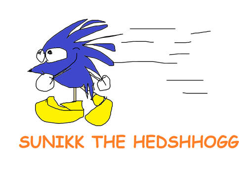 SUNIKK THE HEDSHHOGG