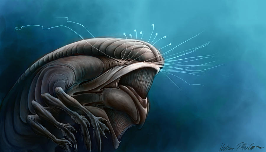 Briin Profile by KatePfeilschiefter