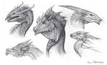 Dragon Busts