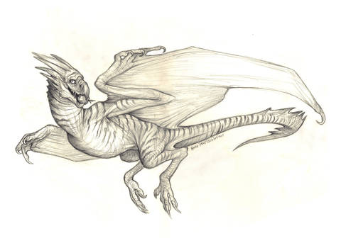 Wyvern Commish