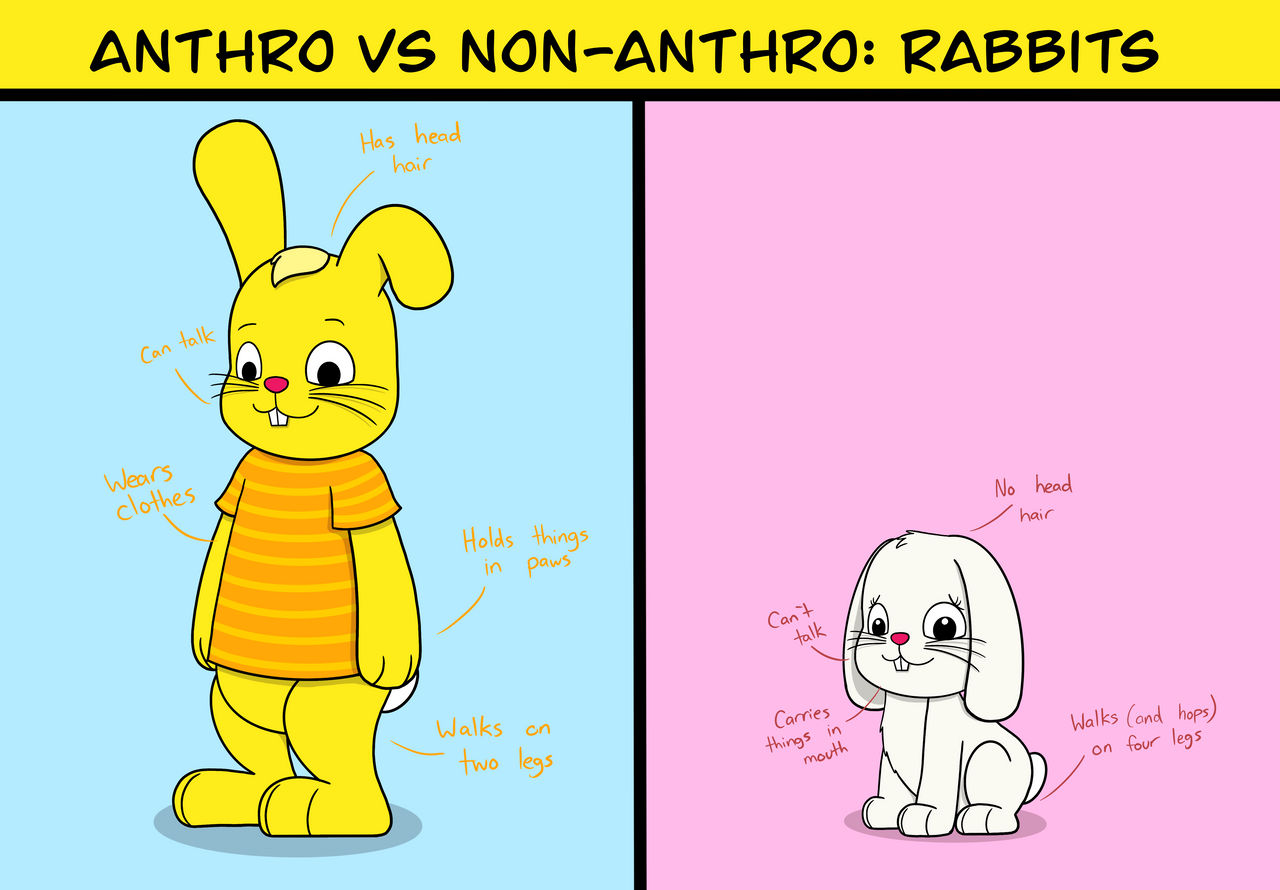 Anthro vs Non-Anthro: Rabbits by Faunatown on DeviantArt