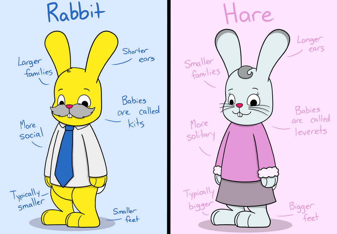 Rabbits vs Hares by Faunatown on DeviantArt