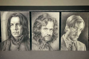 ACEO portraits of Snape, Sirius and Remus