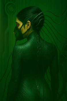 Neural Spinal Interface Deployment