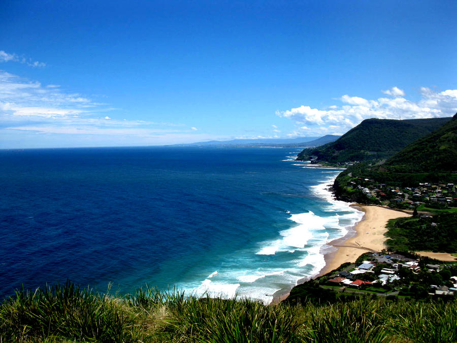 Bald Hill View