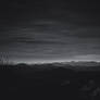 Through the Silence