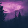 Purple Haze