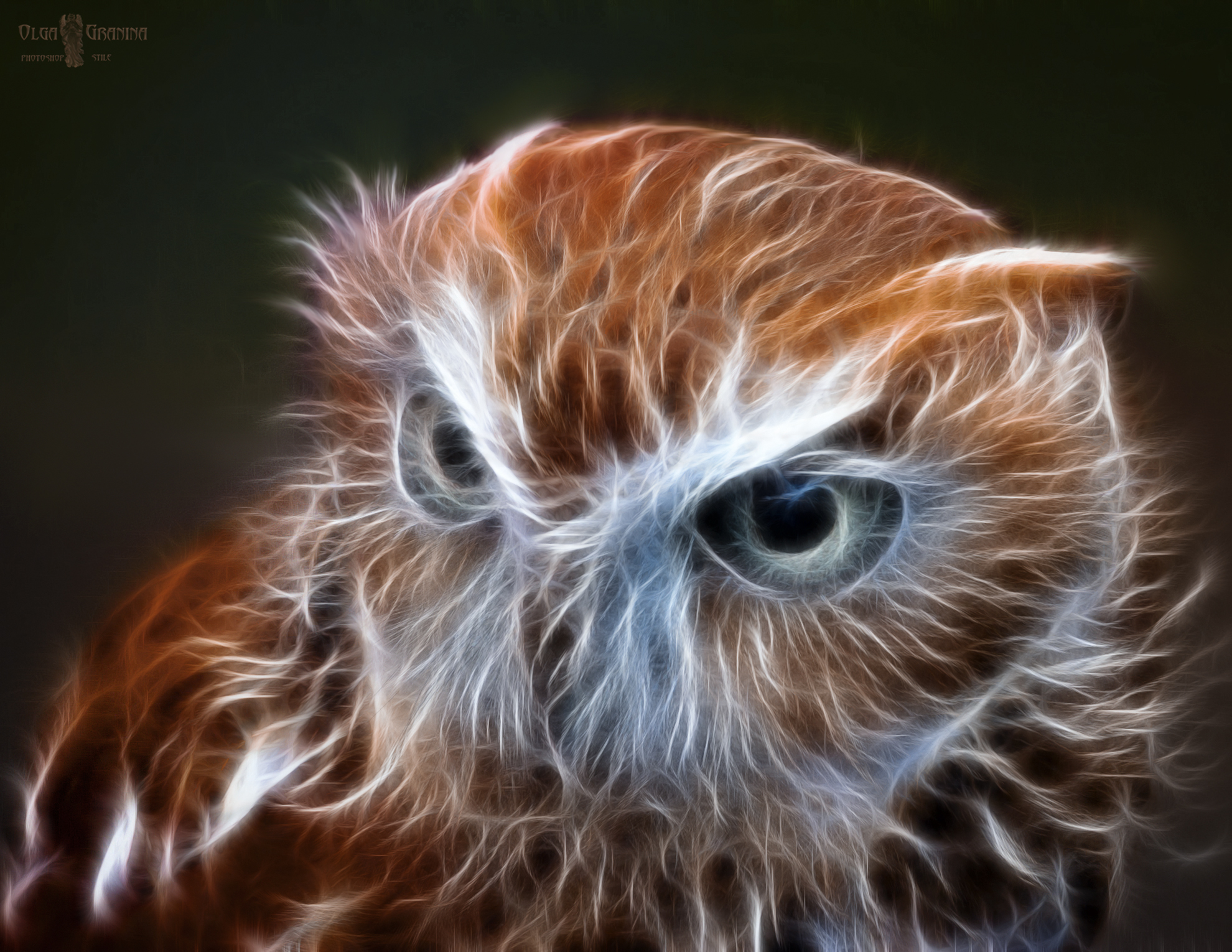 Fractalius. Owl.