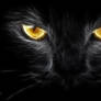 Fractalius. Black Cat