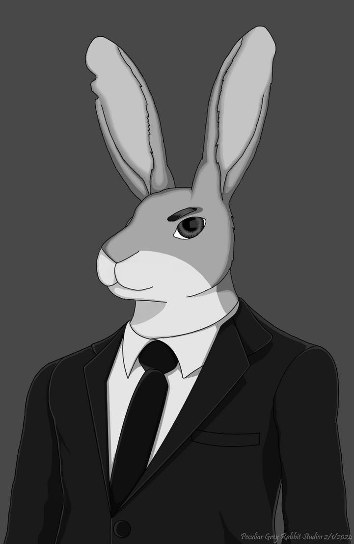 A Peculiar Grey Rabbit (BW) by PeculiarGreyRabbit on DeviantArt