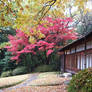 Meiji Tea House